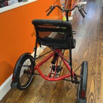 Hase Trigo Up recumbent trike, rear view with upright seat and steering column.
